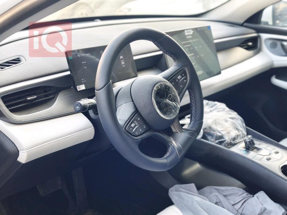 بي واي دي سيل 06 DM-i